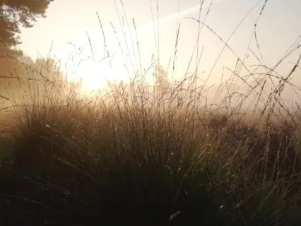 Forgiveness: The Freedom Of Letting The Heart Breathe