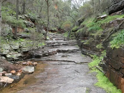 Forgiveness Through Understanding