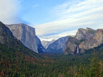 Forgiveness To Men Visualisation