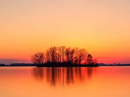 Forgiveness With Dr. Fred Luskin