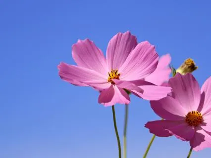 Forgiveness