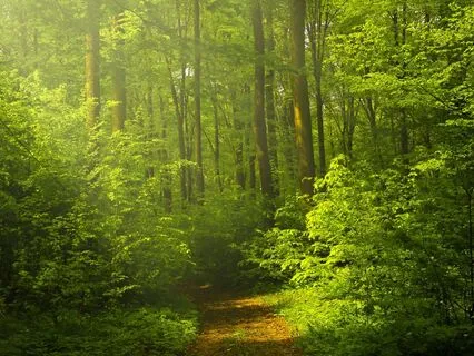 Forgiving And Accepting Yourself