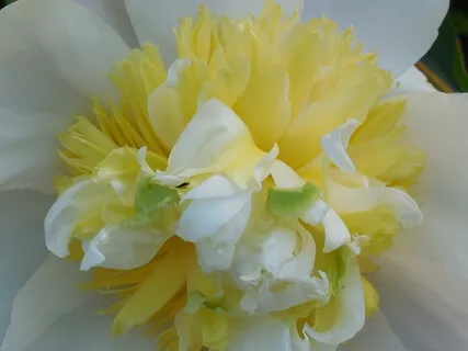 Forgiving Mistakes- A Course In Miracles