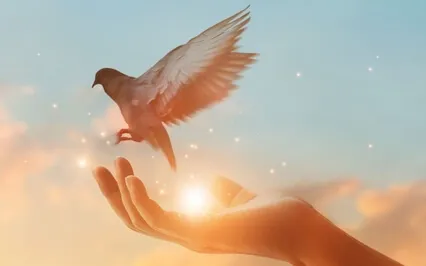 Forgiving Ourselves: Meditation + Sound Bath 