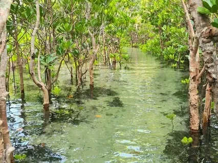 Forgiving Yourself:  A Guided Meditation With Richard