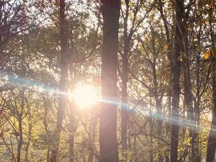 Forgiving Yourself Meditation