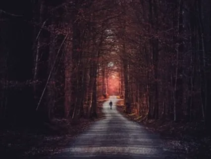 Fork In The Road: Guiding Insight