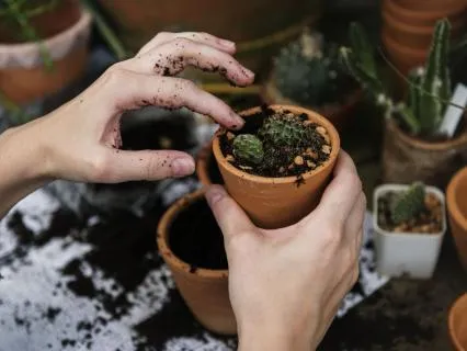 Forming A Healthier Relationship With An Inner Critic