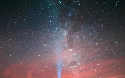 Forrest Healing - Deep Relaxation Music