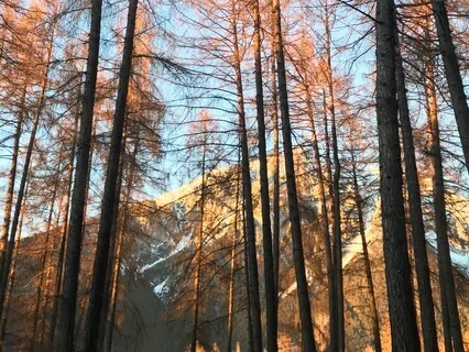 Fostering A Deeper Connection With Oneself