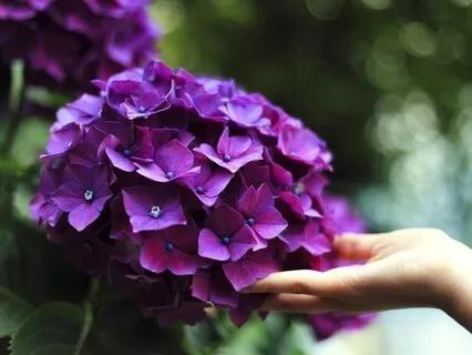 Fostering a Sense of Community: Loving-Kindness Meditation