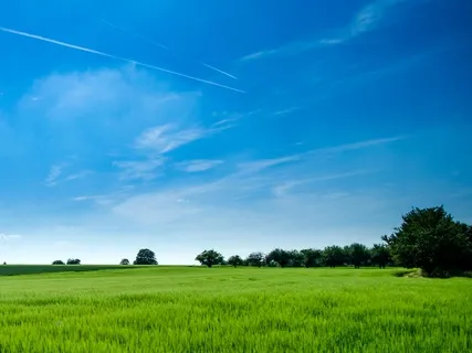 Fostering Gratitude & Hope In Times Of Uncertainty