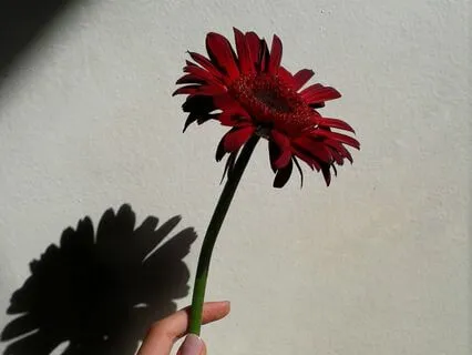 Fostering Gratitude Into The Future