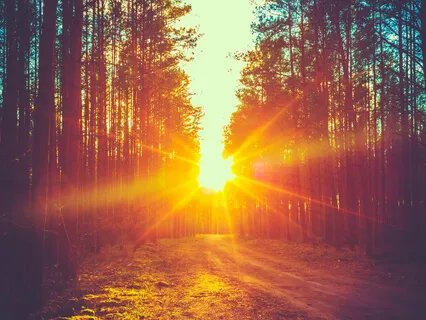 Fostering Kindness and Compassion (Metta)