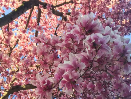 Fostering Self-Confidence With The Breath