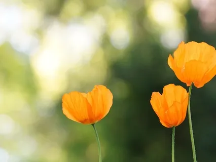 Fostering Self-Trust: Nurturing Confidence Within