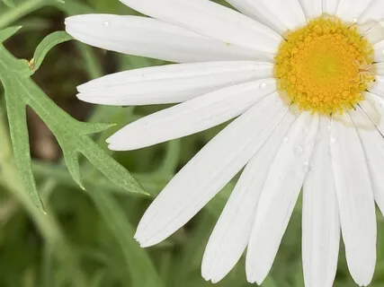 Foundations Of Meditation: Time, Space & Senses