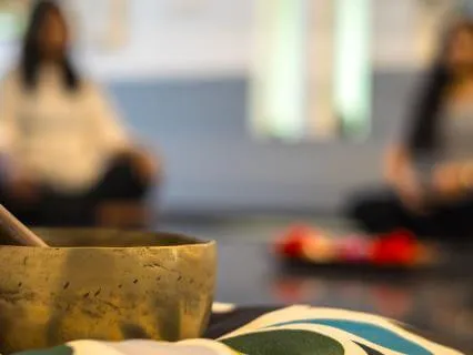 Foundations Of Mindfulness - Body In Parts