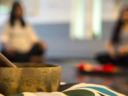 Foundations Of Mindfulness - Hindrances