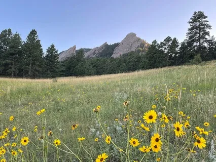 Foundations Of Mindfulness Meditation