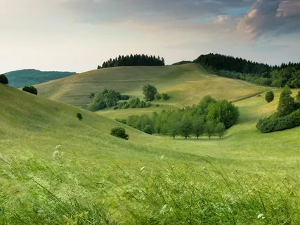 Foundations Of Our Emotional Patterning