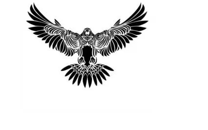 Foundations Of Wisdom - Discovering Your Purpose. Why?