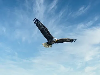 Foundations Of Wisdom - Finding Your Purpose - Exercise 3