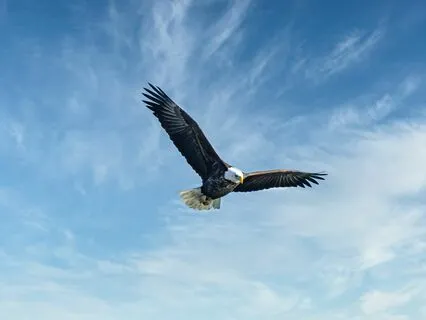 Foundations Of Wisdom - Yes! I Am Worthy - Part 1