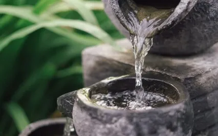 Fountain Of Cleansing