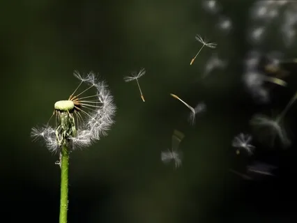 Four Conscious Steps Into Your Self-Empowered Life - Step One: Care For Your Mind