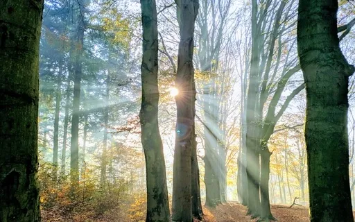 Four Directions White Light Meditation