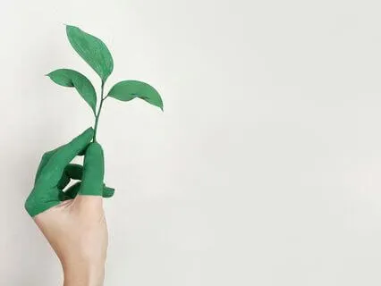 Four Elements Embodied Meditation