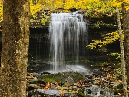Four Elements Meditation For Stress And Anxiety Relief