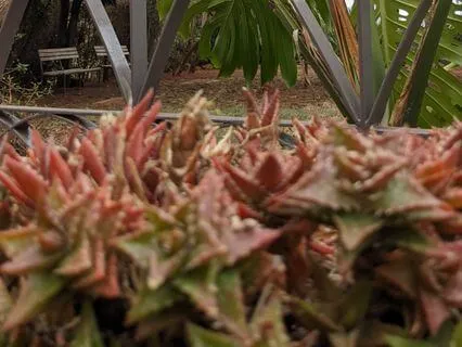 Four Elements Meditation