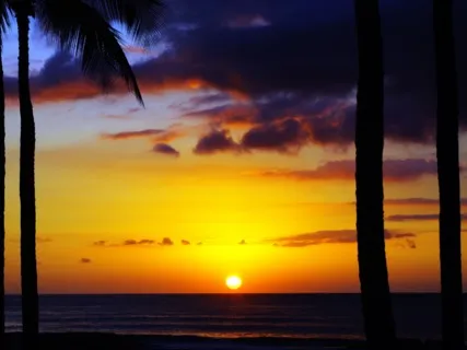 Four Healing Mantras - Guitar & Cello (Live)