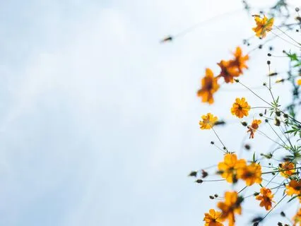 Four Mindful Breaths