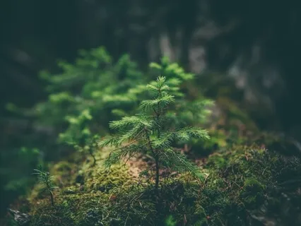 Four Minute Grounding Exercise for Anxiety Relief