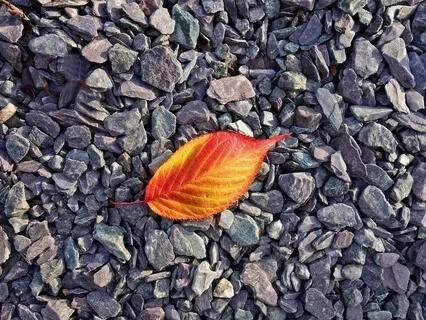 Four Minute Mindfulness Meditation