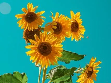 Four Minutes To Feel Better - Emotional Healing Space