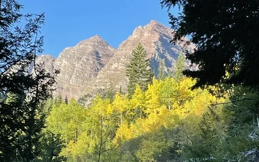 Four Noble Truths: Introduction