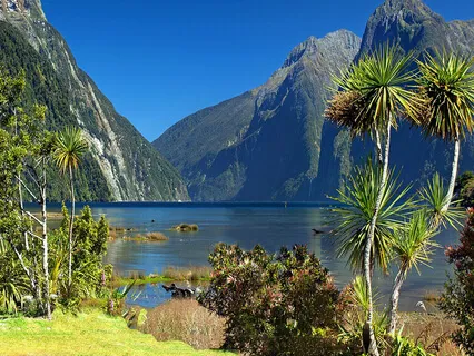 Four Powerful Steps In Daily Living-1 Compassion