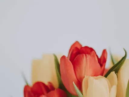  Four Powerful Steps In Daily Living To Ne Cheerful-1 