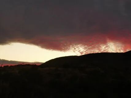 Four Route Relaxation