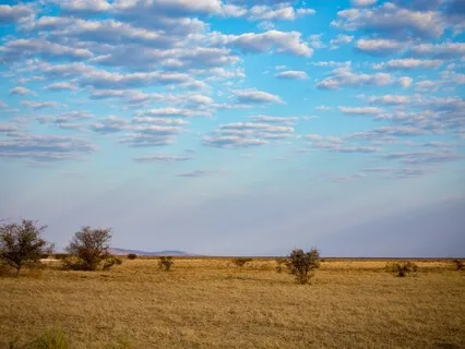 Four Steps Into A Conscious, Self-Empowered Way Of Living