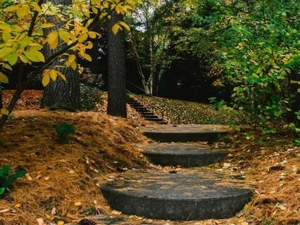 Four Steps To Self-Compassion