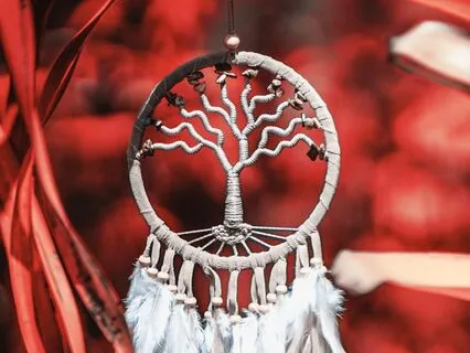 Four Vocal Shamanic Questions