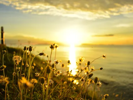 Fourfold Gratitude Practice