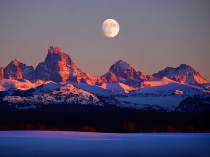 Fourteen Minutes To Deep Relaxation & Sleep