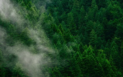 Fourth Chakra Loving Affirmation Meditation