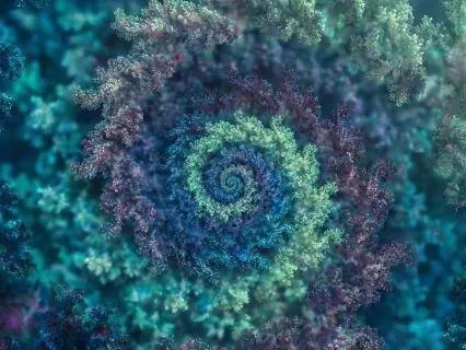 Fractals